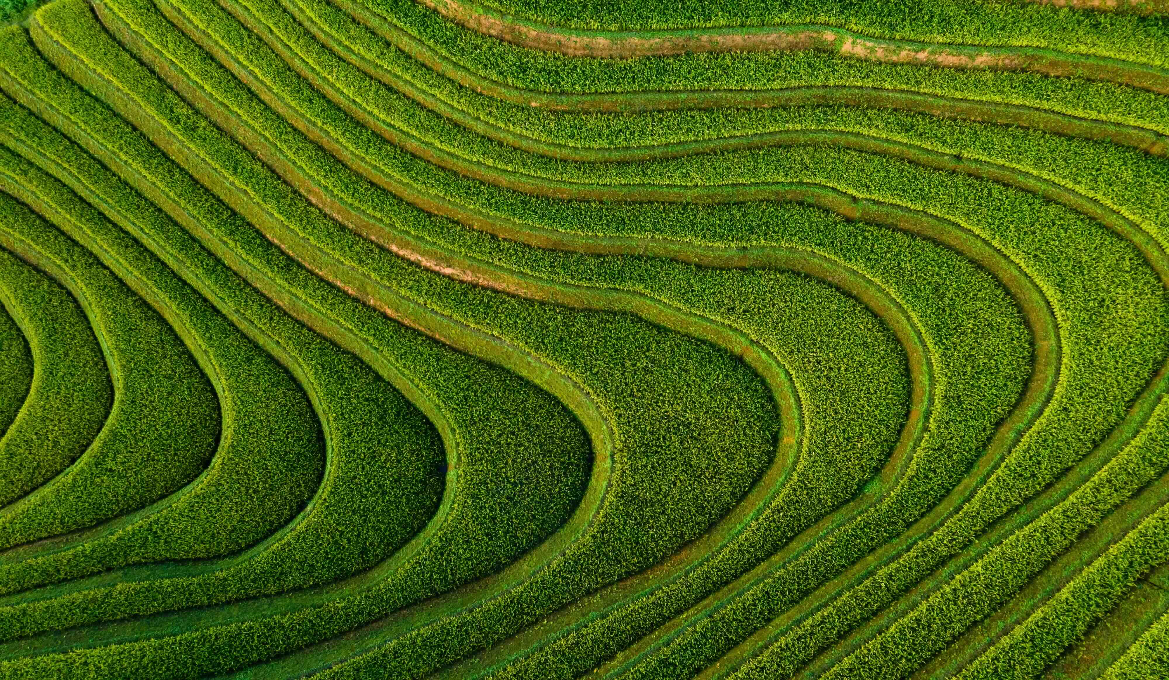 What Is the Digital Workforce?