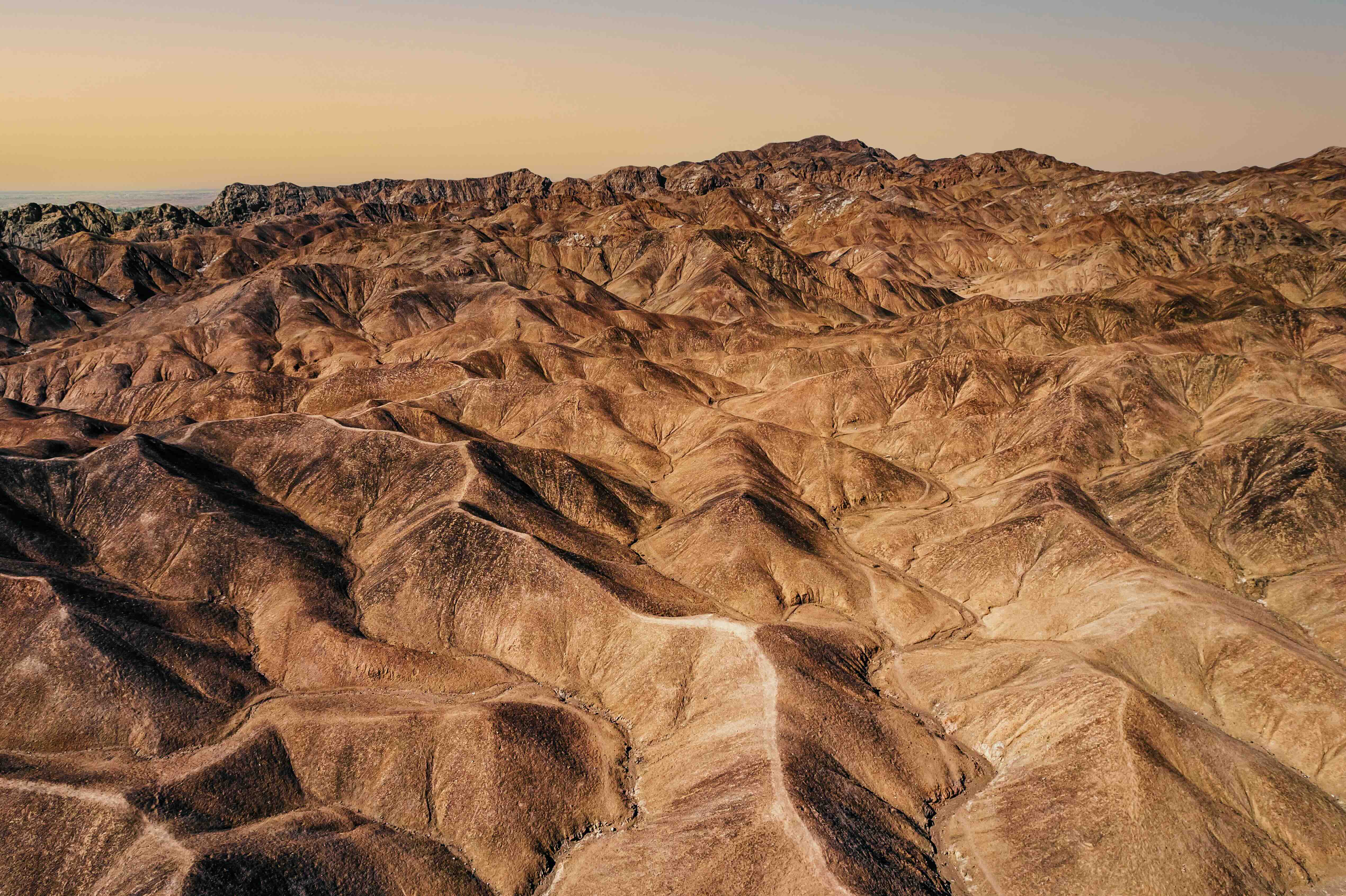 The Digital Workforce Across Your Firm